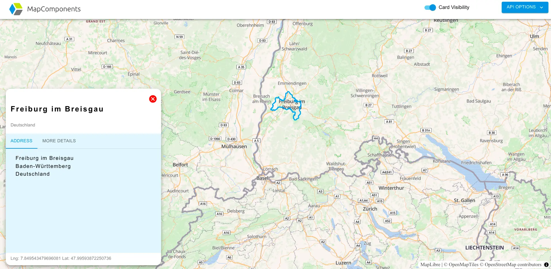 ReverseGeo — Location Lookup Tool